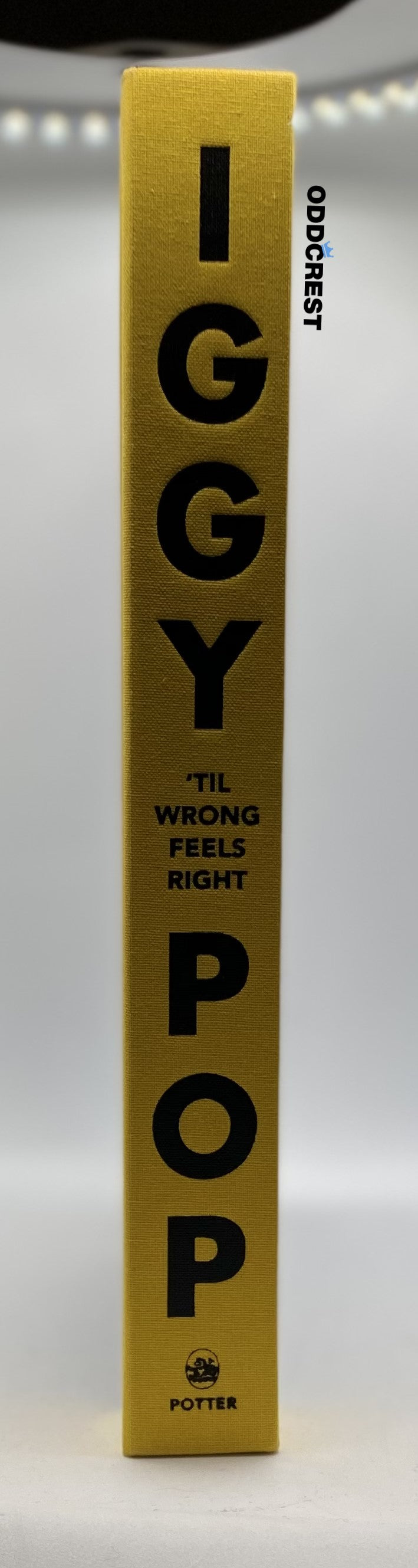 TIL WRONG FEELS RIGHT: LYRICS AND MORE by Iggy Pop  Clarkson Potter  HBK.